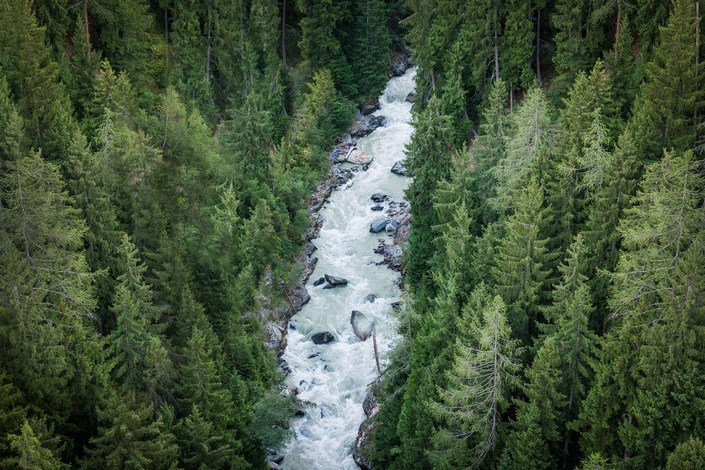 Gebirgsfluss zwischen Nadelwäldern aus der Luft